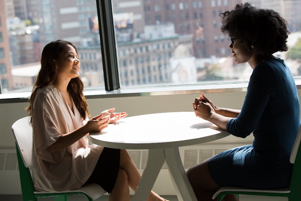 Consultant discussing business requirements with a client